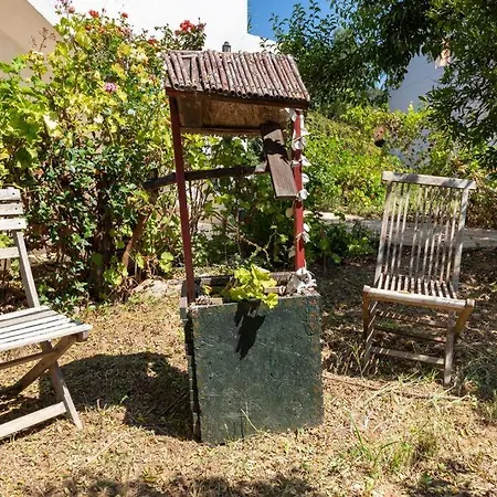 Garden Nature House In The * Bodrum