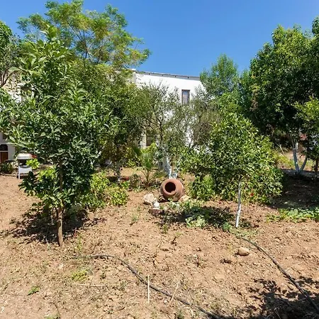 Garden Nature House In The Bodrum