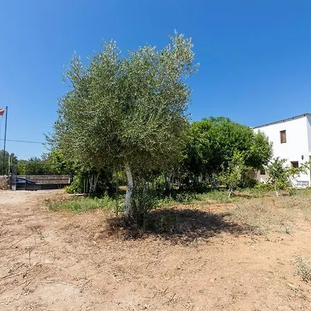 Garden Nature House In The *