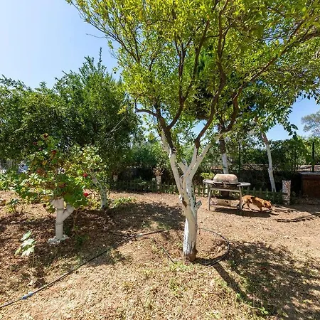 Garden Nature House In The *