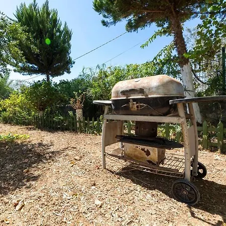 Garden Nature House In The * Bodrum