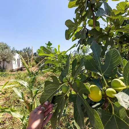 Garden Nature House In The Vakantiehuis *
